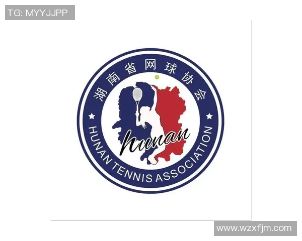 北京网球队的管理模式与发展策略深度解析