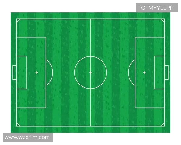 武汉排球队边路渗透战术解析与实战应用探讨 武汉排球队边路渗透战术解析与实战应用探讨