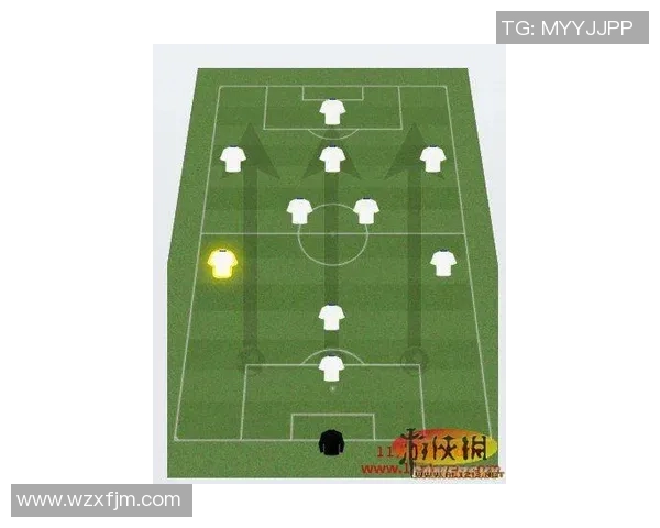 武汉羽毛球队阵地战体系解析与战术运用研究 武汉羽毛球队阵地战体系解析与战术运用研究