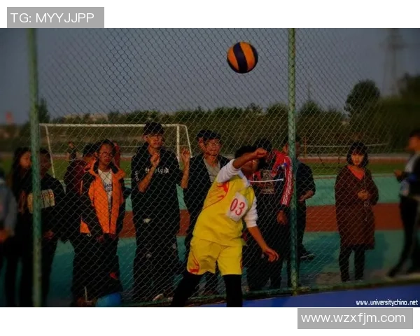 杭州排球队默契配合的关键因素与战术分析探讨